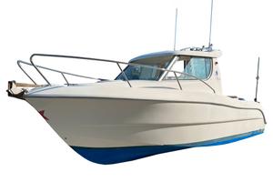 USATO SESSA DORADO 22 + MOTORE YAMAHA F115