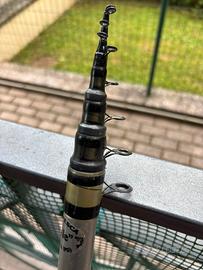 Canna bolognese 6 metri Maver