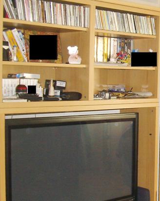 mobile porta TV 