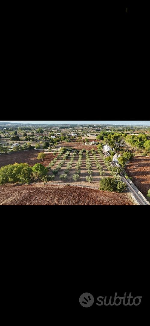 Terreno rustico - Vista 4