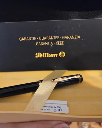 Penna stilografica Pelikan M250