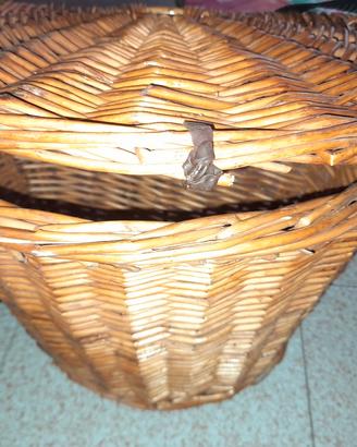 cesta funghi