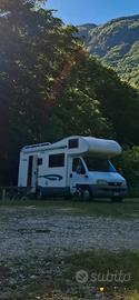 Camper McLouis 