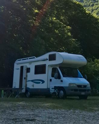 Camper McLouis 