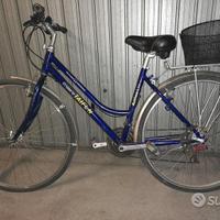 Bicicletta Cosmos taifun