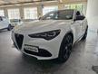 Alfa Romeo Stelvio 2.2 Turbodiesel 160 CV AT8 RWD 