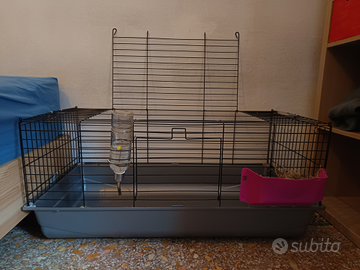 Gabbia coniglio