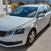 Skoda Octavia 4x4 wagon 1.6 TDI 115cv Executive