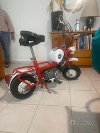 City bike benelli 50cc monomarcia