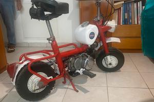 City bike benelli 50cc monomarcia
