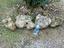 Immagine 1