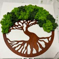 Albero Decorativo,Bonsai,Regali