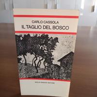 LIBRI COLLANA "LETTURE PER LA SCUOLA MEDIA EINAUDI