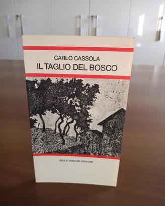 LIBRI COLLANA "LETTURE PER LA SCUOLA MEDIA EINAUDI