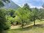 Immagine 29
