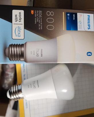 lampadina Philips hue