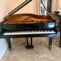 Pianoforte a coda Rieger Kloss, 185cm, 2020