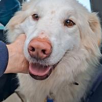 Diletta, impossibile non innamorarsi di lei