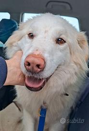 Diletta, impossibile non innamorarsi di lei