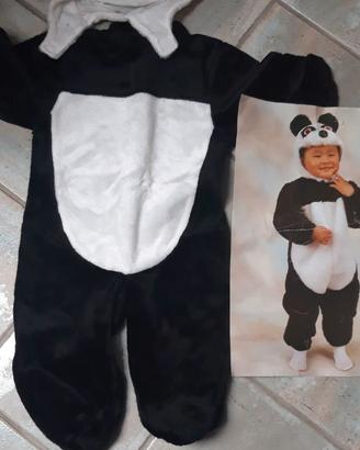 Costume carnevale  2-3 anni