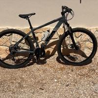 biciclette mountain bike