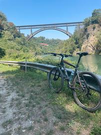 Mtb 29” Fuji