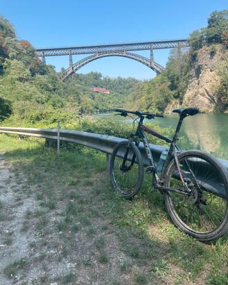 Mtb 29” Fuji