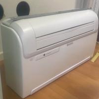 Climatizzatore Unico olimpia, senza macchina ester