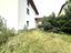 Immagine 11