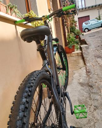 MTB elettrica 250w 36v
