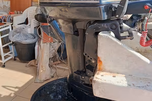 Motore Fuoribordo Evinrude 7.5 CV Gambo Lungo (2T)