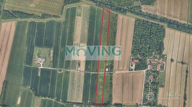 Terreno Agricolo - Venezia