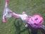 Immagine 4