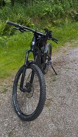E bike