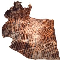 PELLE  DI CAVALLINO STAMPA TIGRE CON PELO LUNGO