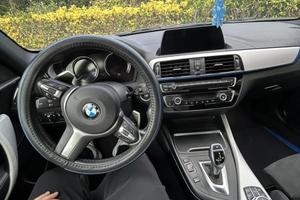 BMW SERIE 1  120d (f21) msport