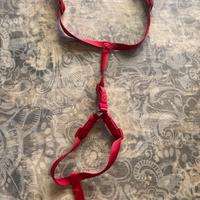 Pettorina rossa per cani small medium