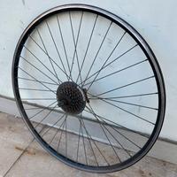 Ruota bici