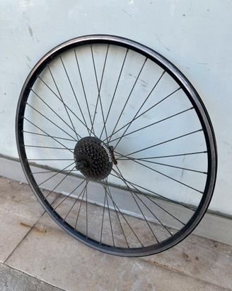 Ruota bici