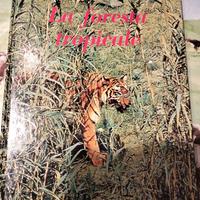 gli animali e l ambiente la foresta tropicale