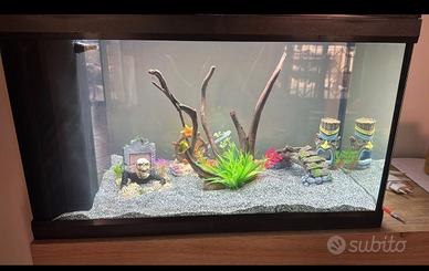 Acquario come nuovo