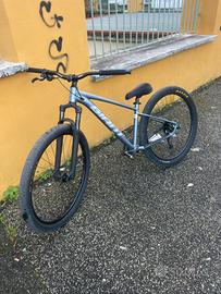 Whellie bike