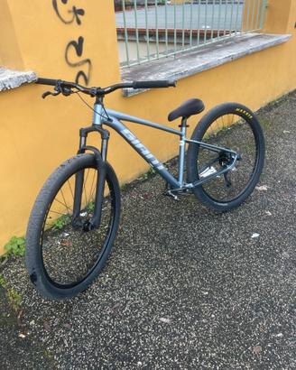 Whellie bike