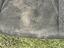 Immagine 14