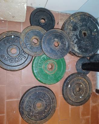 dischi (42 kg)