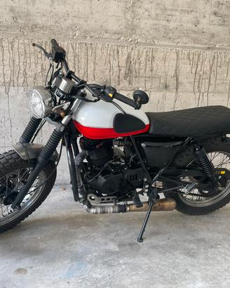 Mutt 250