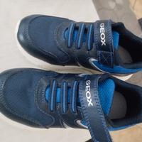 scarpe Geox bimbo 