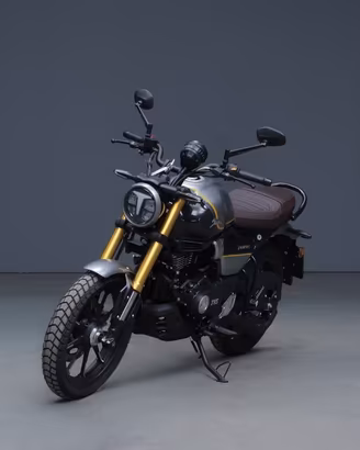 TVS MOTOR Ronin 250