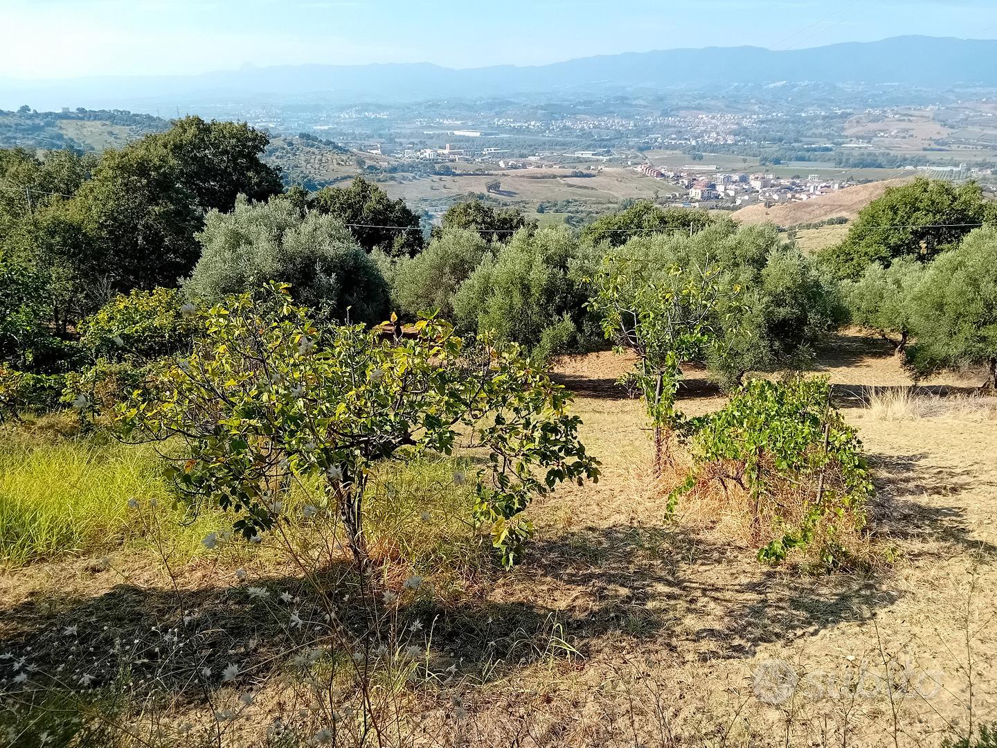 Terreno agricolo con annesso fabbricato - Vista 3