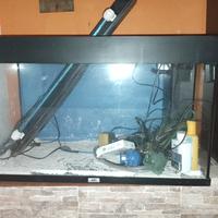 acquario juwel rio 125